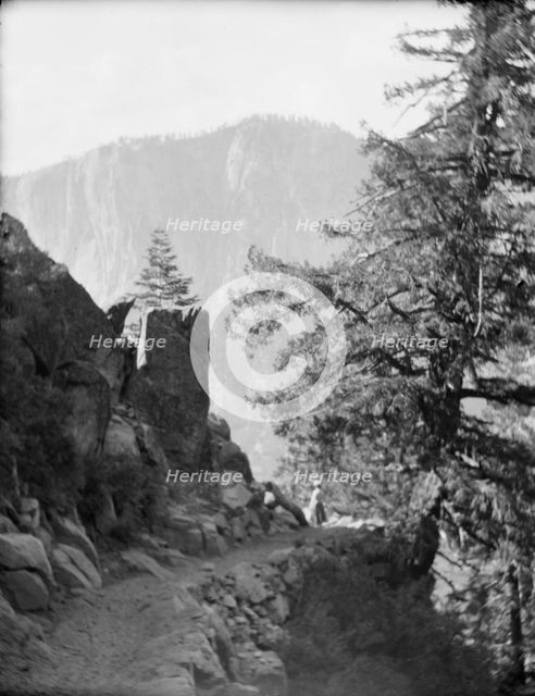 Travel views of Yosemite National Park, between 1903 and 1906. Creator: Arnold Genthe.