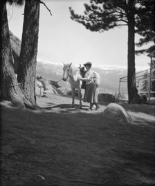 Travel views of Yosemite National Park, between 1903 and 1906. Creator: Arnold Genthe