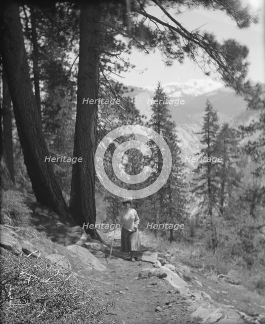 Travel views of Yosemite National Park, between 1903 and 1906. Creator: Arnold Genthe.