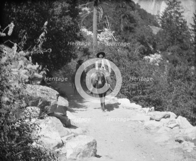 Travel views of Yosemite National Park, between 1903 and 1906. Creator: Arnold Genthe.