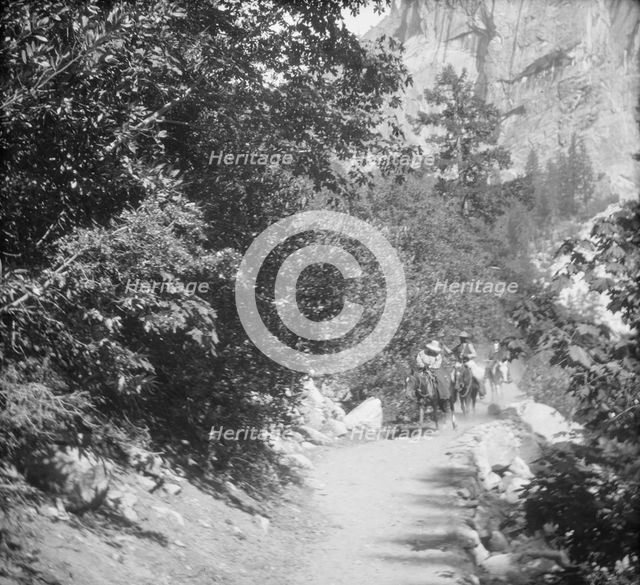 Travel views of Yosemite National Park, between 1903 and 1906. Creator: Arnold Genthe.