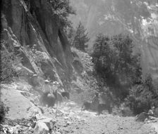Travel views of Yosemite National Park, between 1903 and 1906. Creator: Arnold Genthe