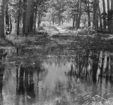 Travel views of Yosemite National Park, between 1903 and 1906. Creator: Arnold Genthe