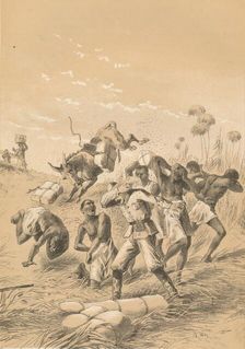 Travelers Stung By Bees c1880