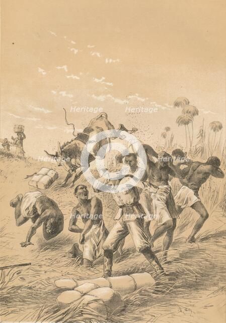 'Travelers Stung By Bees', c1880. Artist: Unknown.