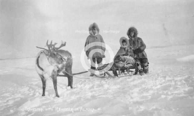 Traveling with reindeer, between c1900 and c1930. Creator: Unknown.