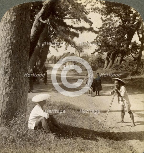 Travellers resting under the pines at Suzukawa, old post road from Tokyo to Kyoto, Japan, 1904.Artist: Underwood & Underwood