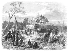 Travelling in Africa: cutting a road for the waggons, 1868. Creator: Unknown