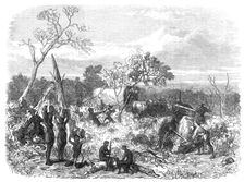 Travelling in Africa: cutting a road for the waggons, 1868. Creator: Unknown