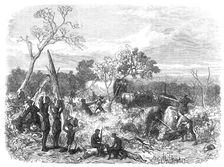 Travelling in Africa: cutting a road for the waggons, 1868. Creator: Unknown