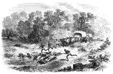 Travelling in Africa: the rain-pool by the way, 1869. Creator: Unknown