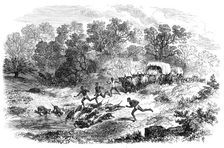 Travelling in Africa: the rain-pool by the way, 1869. Creator: Unknown