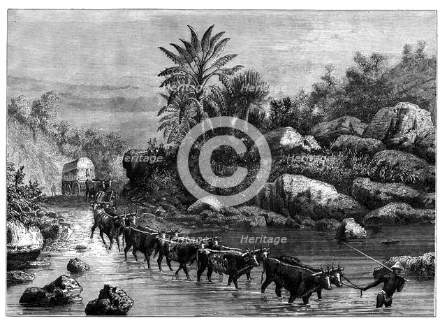 Travelling in Griqualand, South Africa, c1890. Artist: Unknown