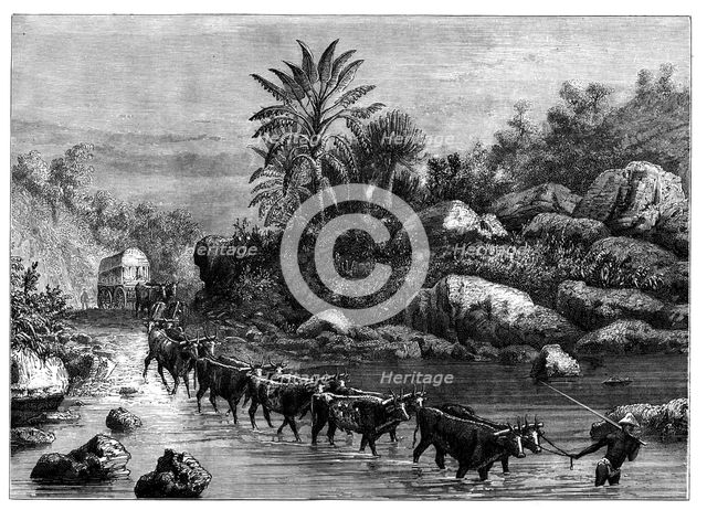 Travelling in Griqualand, South Africa, c1890. Artist: Unknown