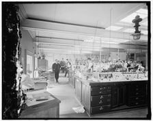 Treasury Dept. lab, between 1910 and 1920. Creator: Harris & Ewing