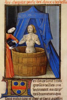 Treatment of boils with a hot herbal bath. From Livre des propriétés des choses by Barthélemy l'Angl Creator: Anonymous