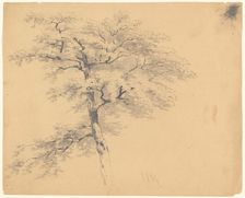 Tree, 1839. Creator: James Goodwyn Clonney