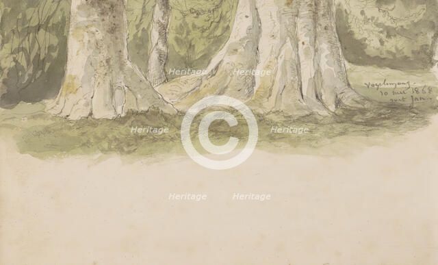 Tree trunks, 1868. Creator: Johannes Tavenraat.