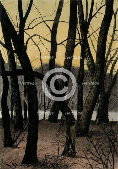 Tree trunks, 1929. Creator: Spilliaert, Léon (1881-1946).