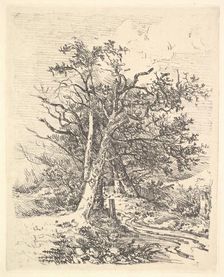 Tree Trunks and Lane, 1811-13. Creator: John Crome