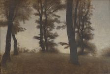 Tree Trunks. Arresodal near Frederiksværk, North Zealand, 1904. Creator: Vilhelm Hammershøi