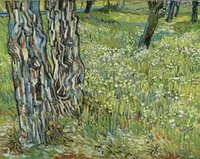 Tree trunks in the grass, 1890. Creator: Gogh, Vincent, van (1853-1890)