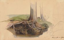 Tree trunk and roots, 1845. Creator: Ernst Ferdinand Oehme