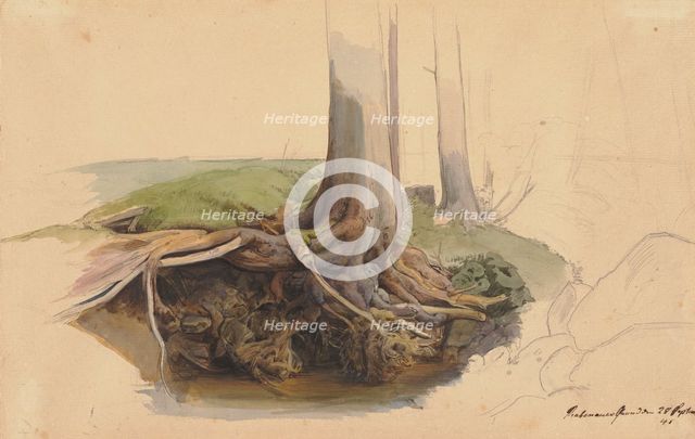 Tree trunk and roots, 1845. Creator: Ernst Ferdinand Oehme.
