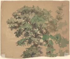 Tree [verso], c. 1870-1900. Creator: Enoch Wood Perry