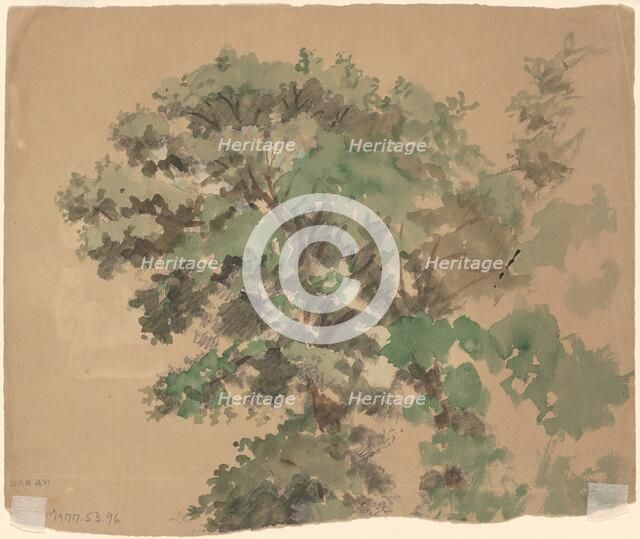 Tree [verso], c. 1870-1900. Creator: Enoch Wood Perry.