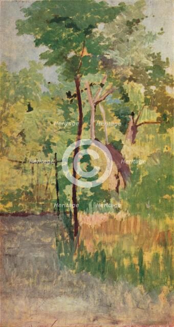 'Tree and Woodpath', c19th century. Artist: Giovanni Fattori.