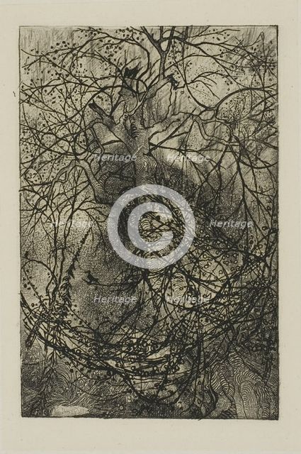 Tree Branches, n.d. Creator: Rodolphe Bresdin.