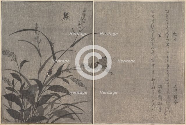 Tree cricket (Matsumushi); Firefly (Hotaru)..., 1788. Creator: Kitagawa Utamaro.