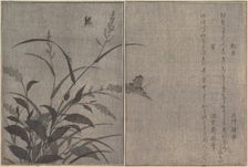 Tree cricket (Matsumushi); Firefly (Hotaru)..., 1788. Creator: Kitagawa Utamaro