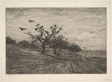 Tree Filled with Crows, 1867. Creator: Charles Francois Daubigny