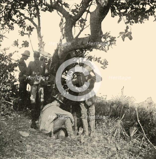 'Tree from which Captain Paget...Saw...San Juan Battle', Spanish-American War, June 1898, (1899). Creator: Burr McIntosh.