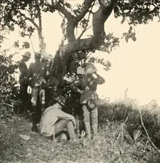 Tree from which Captain Paget...Saw...San Juan Battle Spanish-American War, June 1898, (1899). Creator: Burr McIntosh