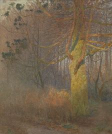 Tree in the Sun, 1900. Creator: Emile Claus