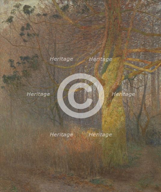 Tree in the Sun, 1900. Creator: Emile Claus.