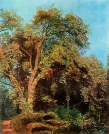 Tree in the Park mid 19th century, (1965). Creator: Aleksandr Ivanov