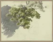 Tree in the wind, c1840-1890. Creator: Carl Theodor Reiffenstein