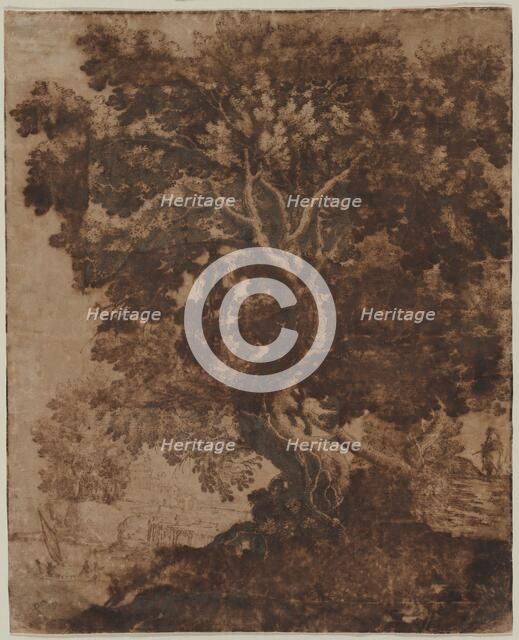 Tree in a Landscape, mid 17th century. Creator: Ercole Bazicaluva (Italian, c. 1610-1661).