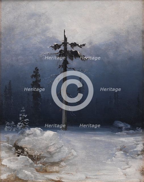 Tree in a Wintry Forest, 1850-1859. Creator: Peder Balke.