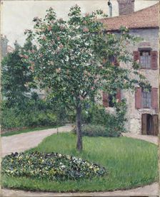 Tree in Blossom, 1882. Creator: Caillebotte, Gustave (1848-1894)