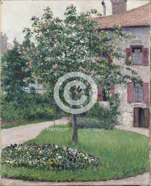Tree in Blossom, 1882. Creator: Caillebotte, Gustave (1848-1894).