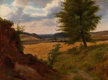 Tree in Field Landscape, Study, 1854. Creator: Werner Holmberg