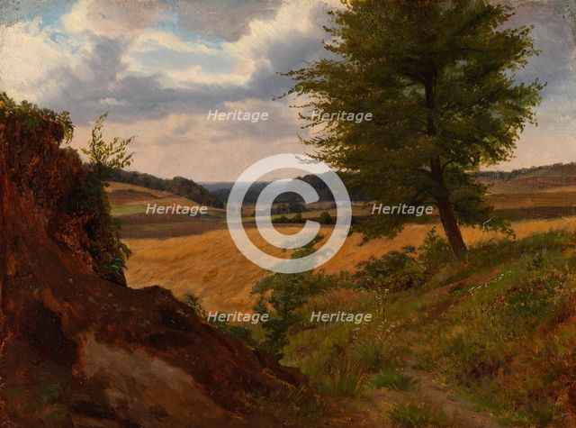 Tree in Field Landscape, Study, 1854. Creator: Werner Holmberg.