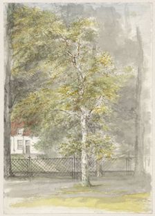 Tree in front of the fence of a country house, 1834-1911. Creator: Jozef Israels