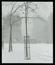Tree in Snow, New York City, 1900/02. Creator: Alfred Stieglitz
