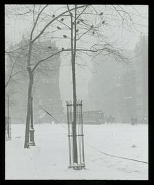 Tree in Snow, New York City, 1900/02. Creator: Alfred Stieglitz